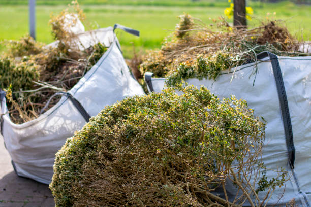Best Furniture Removal Near Me  in South Amherst, OH